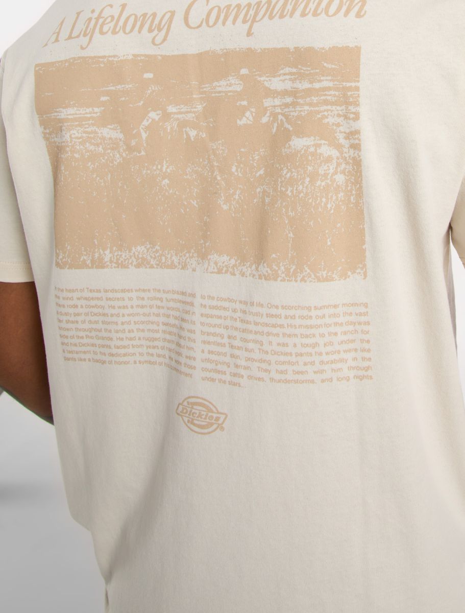 T-Shirt Companion script panna
