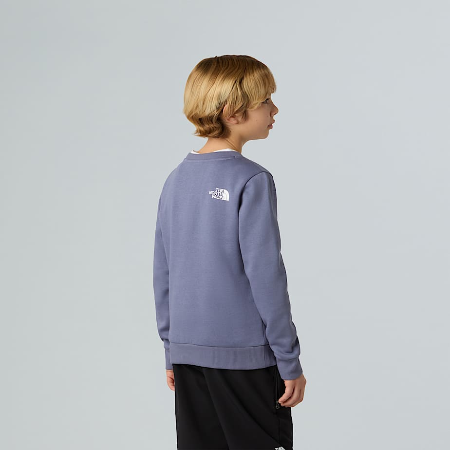 Felpa The north face girocollo lilla - 6/20 ANNI