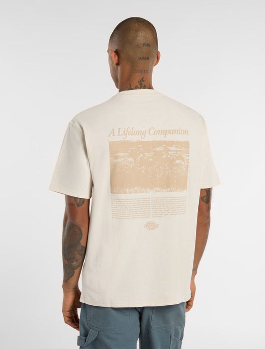 T-Shirt Companion script panna