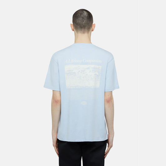 T-Shirt Companion script celeste